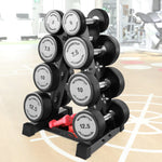 BRTGYM Dumbbells Rack Weight Stand (Rack Only) 13GA Steel Constructed Max Support 470lbs 4- Tier Compact Design 16.3"L x 15.6"W x 24.5"H