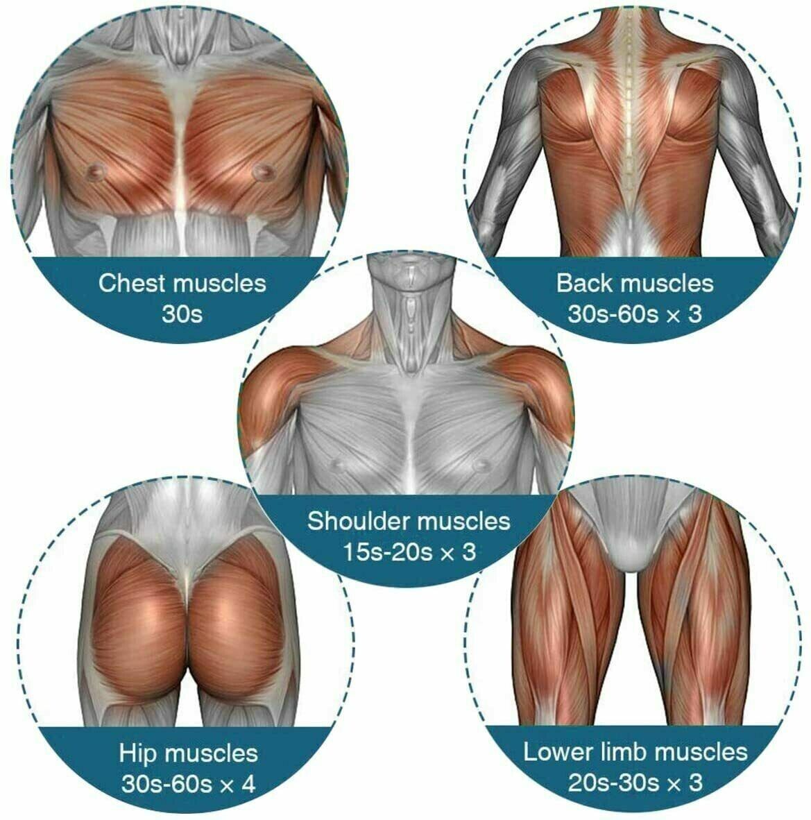 Massage Gun with 4 Heads for different muscle areas