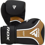 RDX Aura Plus T-17 Complete Sparring Set - T-17 boxing gloves included in the set